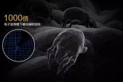 螨虫高发季，家用除湿机除螨有妙计！