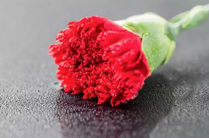 1494664199396782.png blob.png